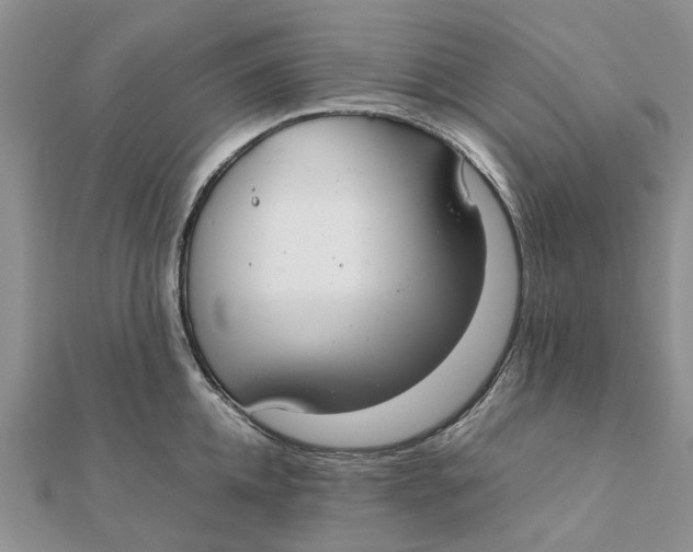 X0000111880952200908131631