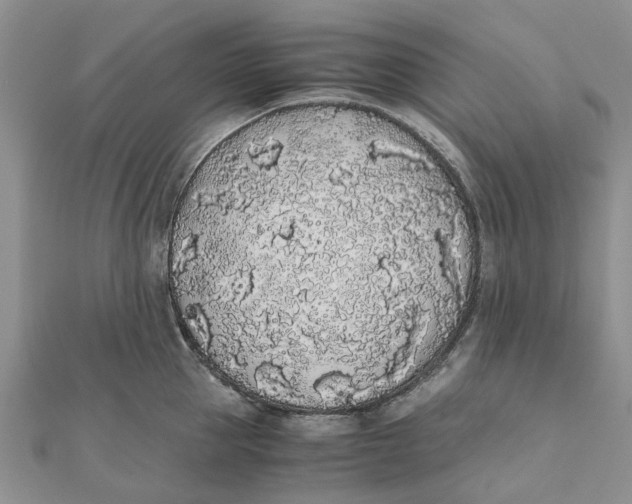 X0000111880953200908131631