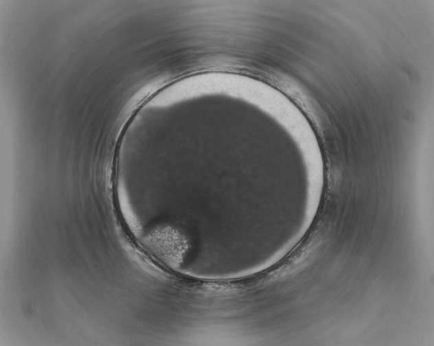 X0000111880954200908131631