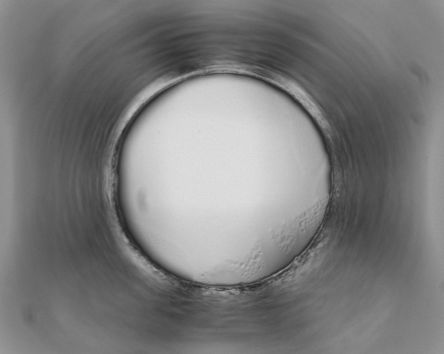 X0000111880955200908131631