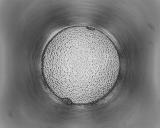 X0000111880956200908131631