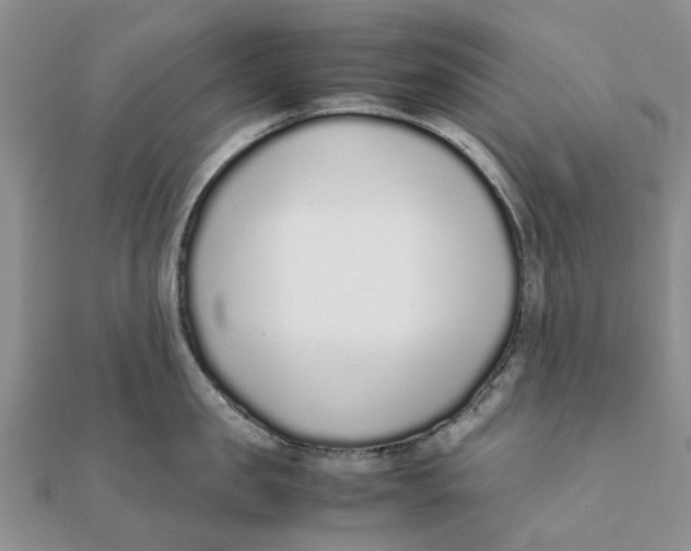 X0000111880957200908131631