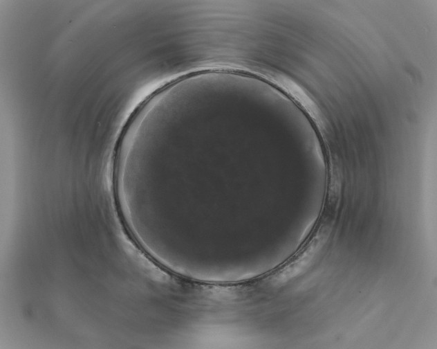 X0000111880958200908131631