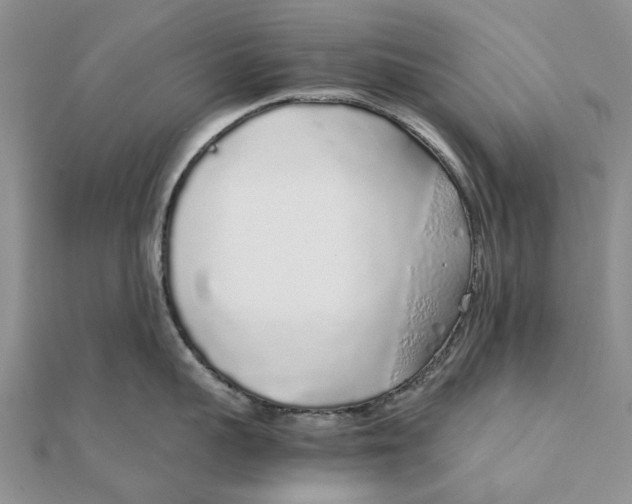 X0000111880959200908131631