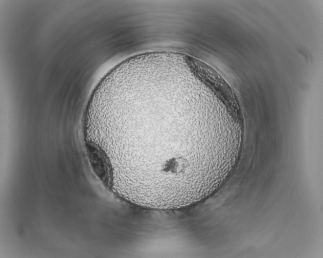 X0000111880960200908131631