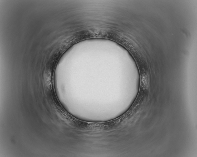 X0000111880963200908131630