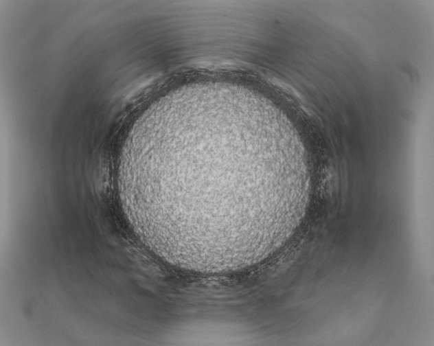 X0000111880966200908131630