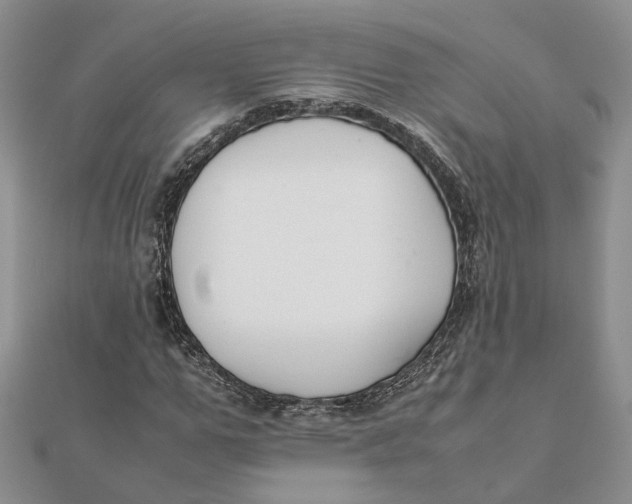 X0000111880967200908131630