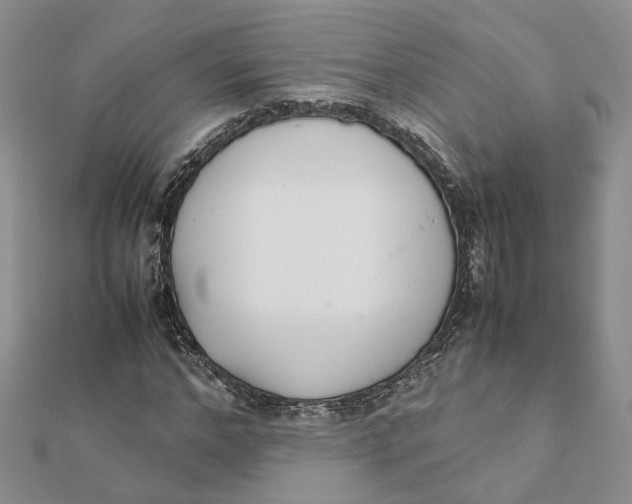 X0000111880968200908131630