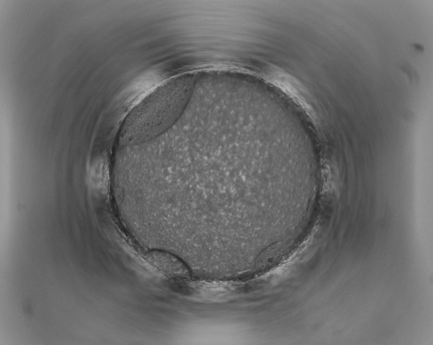 X0000111880969200908131630