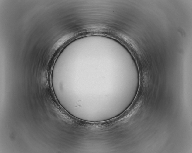 X0000111880970200908131630