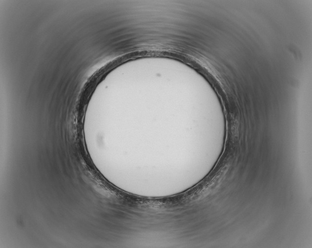 X0000111880971200908131630