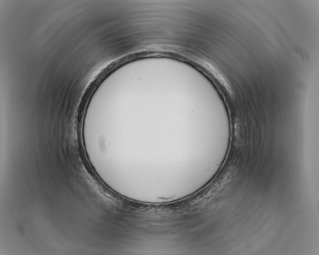 X0000111880972200908131630