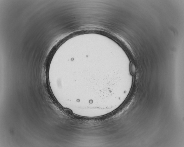 X0000111880973200908131630