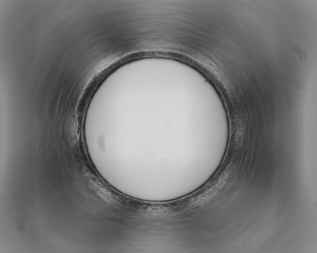 X0000111880974200908131630