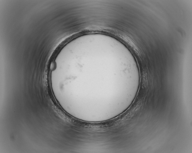 X0000111880976200908131630