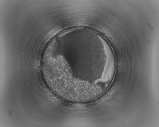 X0000111880977200908131630