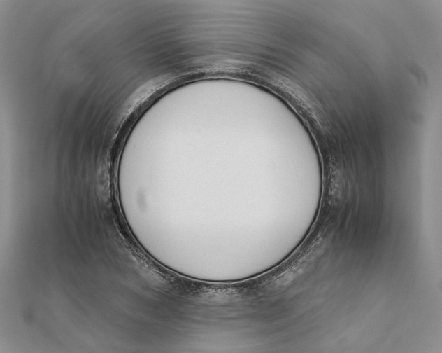 X0000111880978200908131630