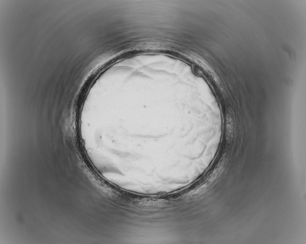 X0000111880981200908131630