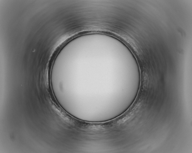 X0000111880982200908131630