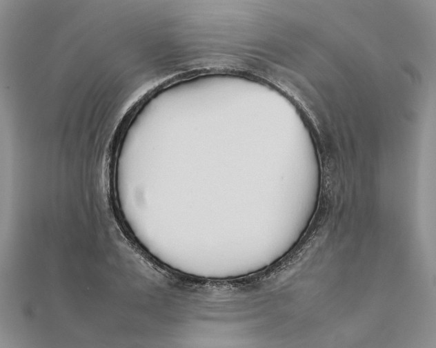 X0000111880983200908131630