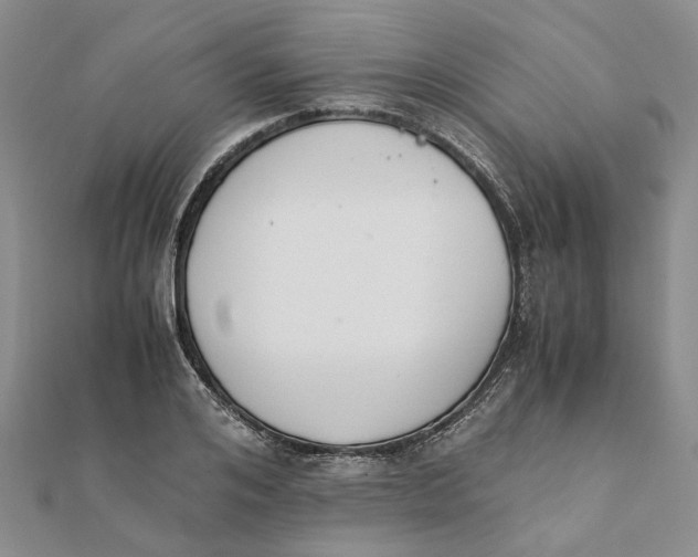 X0000111880984200908131630