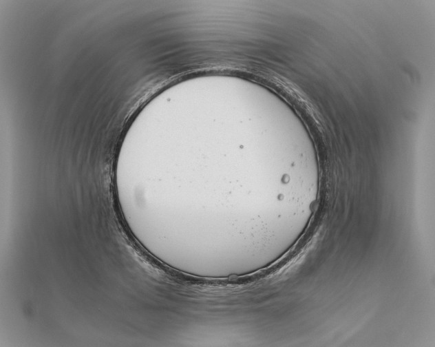 X0000111880985200908131630