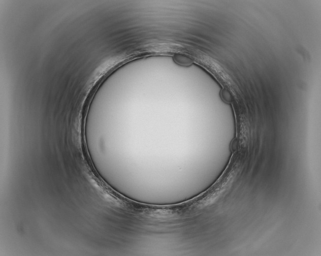 X0000111880986200908131630