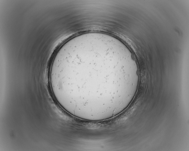 X0000111880987200908131630