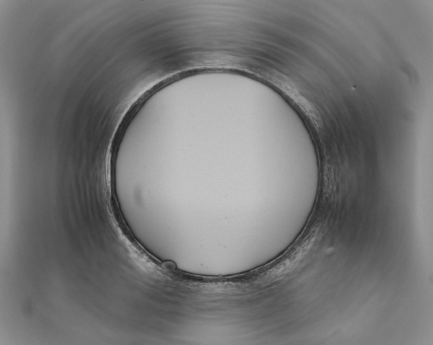 X0000111880988200908131630