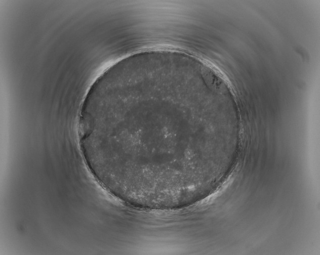 X0000111880989200908131630