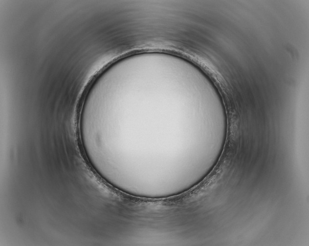 X0000111880990200908131630