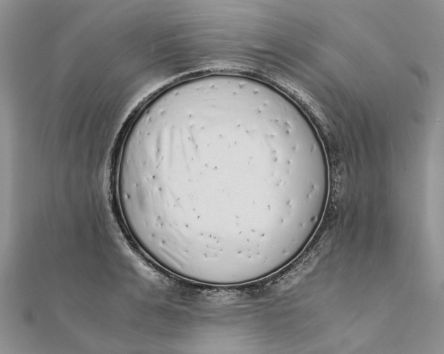 X0000111880991200908131630