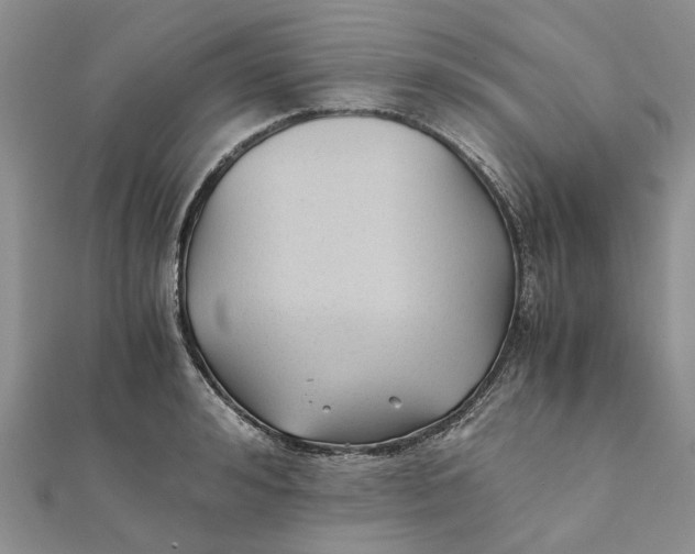 X0000111880992200908131630