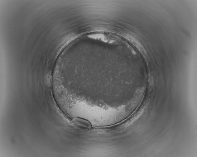 X0000111880993200908131630