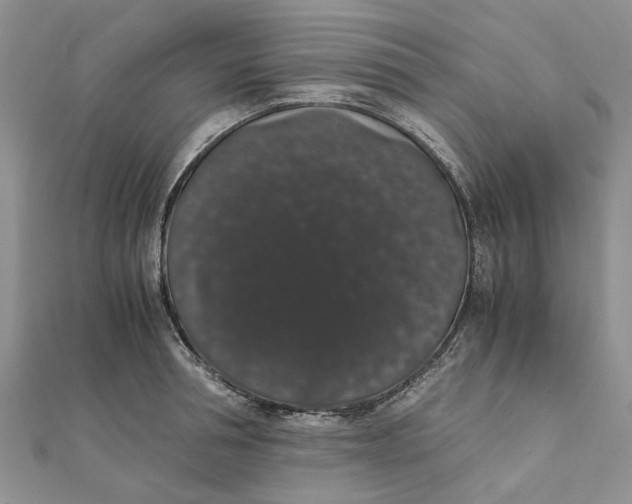 X0000111880994200908131630