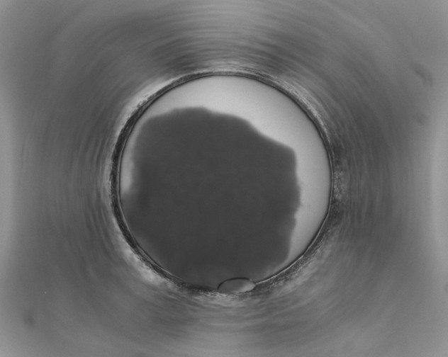 X0000111880995200908131630