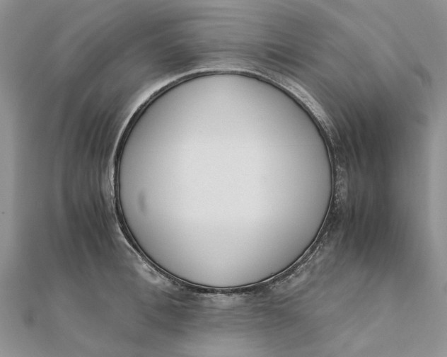 X0000111880996200908131630