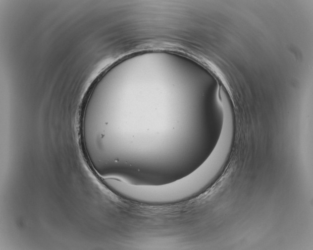 X0000111880997200908131630