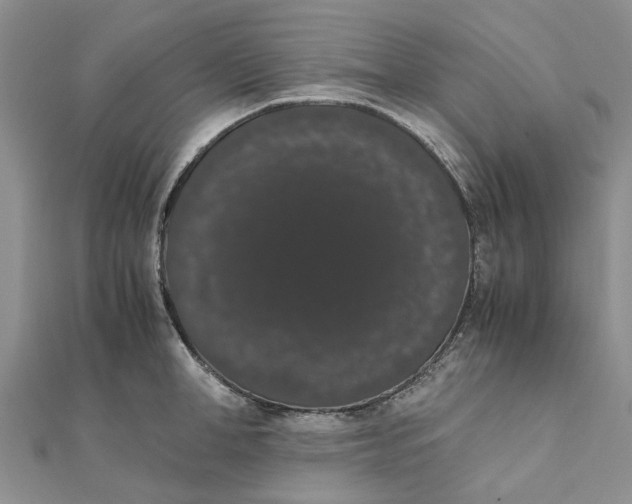 X0000111880998200908131630