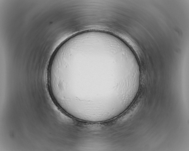 X0000111880999200908131630