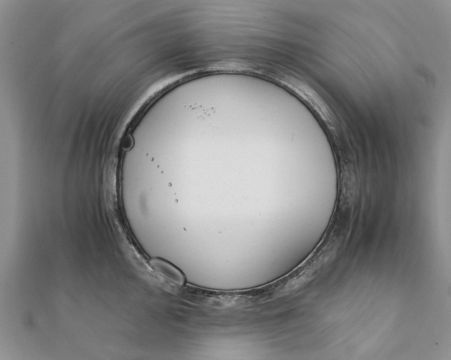 X0000111881000200908131630