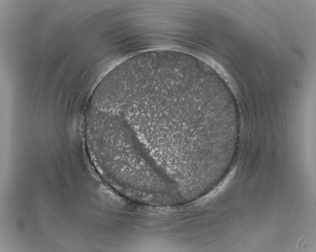 X0000111881001200908131630