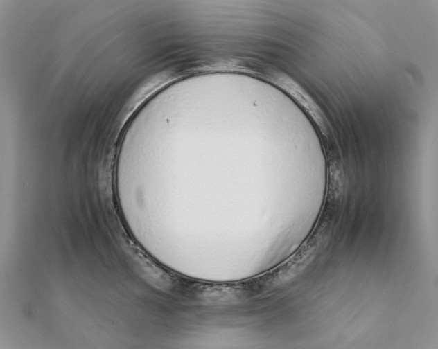 X0000111881002200908131630