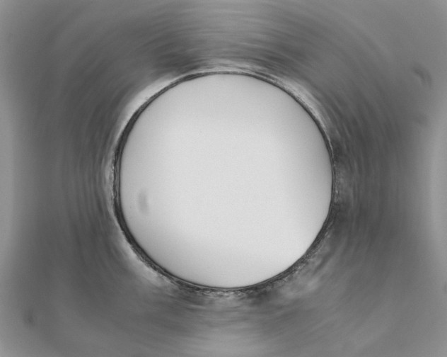 X0000111881003200908131630