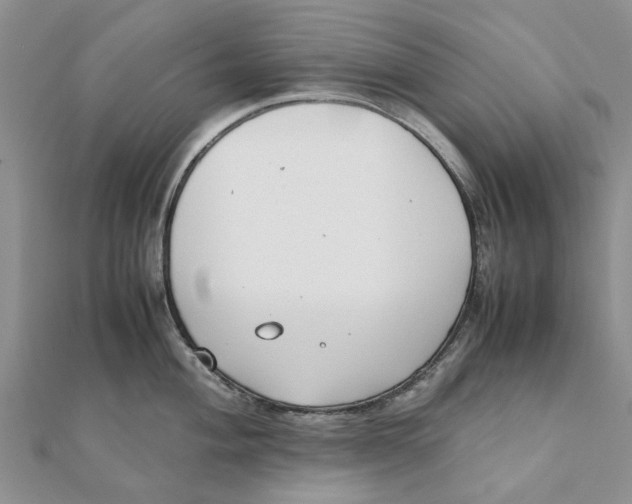 X0000111881004200908131630