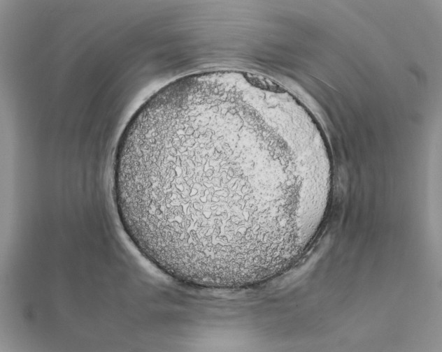 X0000111881005200908131630