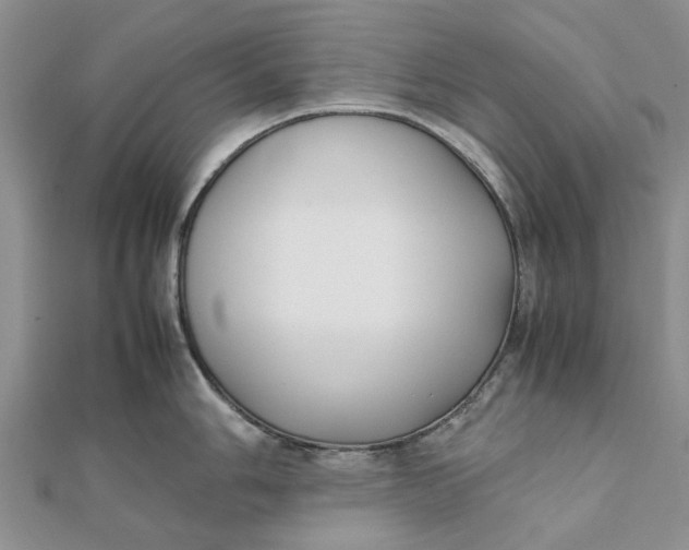 X0000111881006200908131630