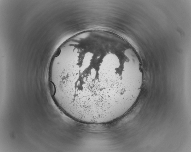 X0000111881007200908131630