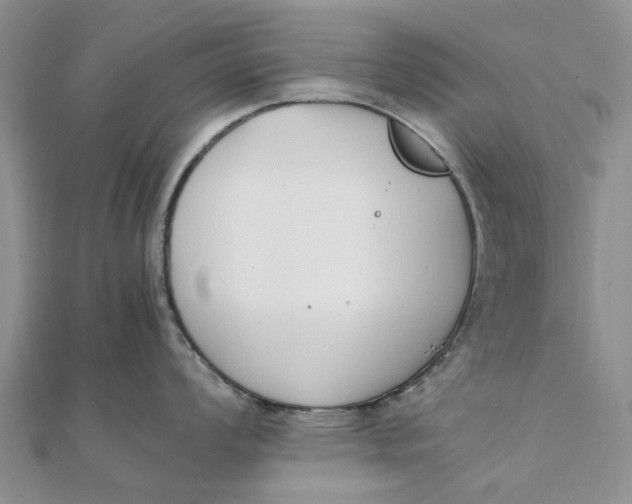 X0000111881008200908131630